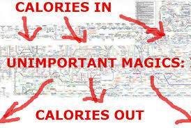 Calories in v calories out
